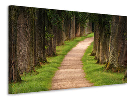 panoramic-canvas-print-a-path-in-the-forest