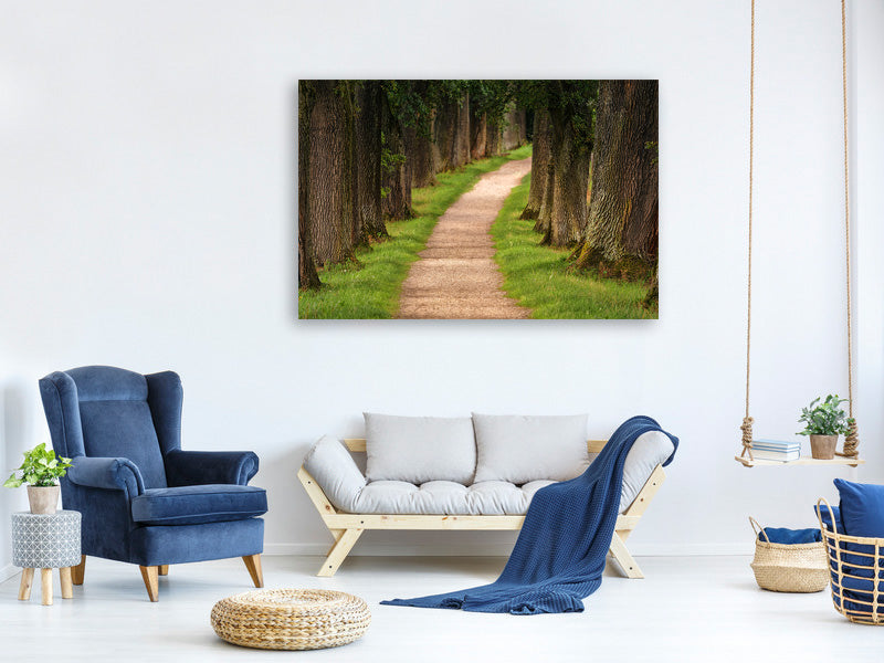 panoramic-canvas-print-a-path-in-the-forest