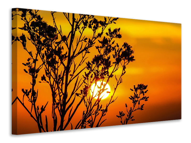 modern-3-piece-canvas-print-a-shrub-in-the-sunset