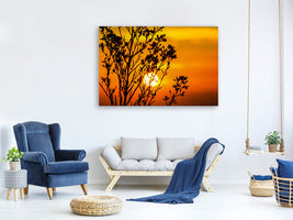 3-piece-canvas-print-a-shrub-in-the-sunset