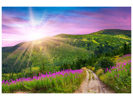 4-piece-canvas-print-a-summer-landscape-at-sunrise