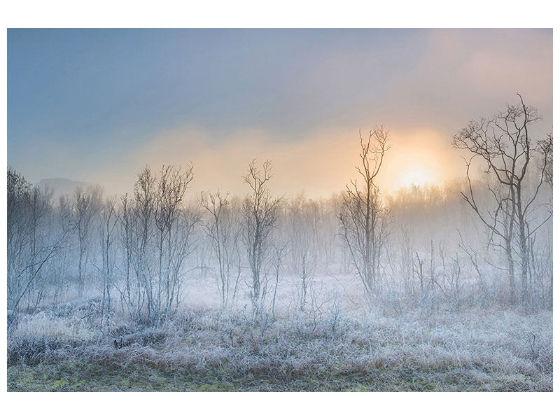 panoramic-3-piece-canvas-print-a-touch-of-winter
