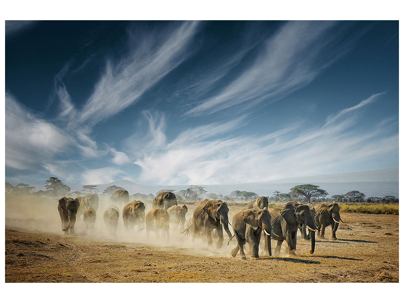3-piece-canvas-print-a-very-long-thinking