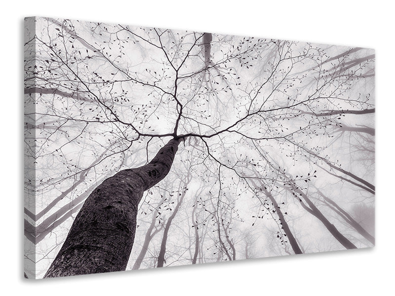 panoramic-3-piece-canvas-print-a-view-of-the-tree-crown