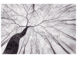 modern-3-piece-canvas-print-a-view-of-the-tree-crown