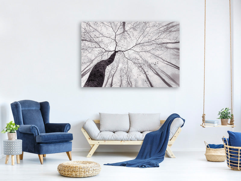 panoramic-3-piece-canvas-print-a-view-of-the-tree-crown