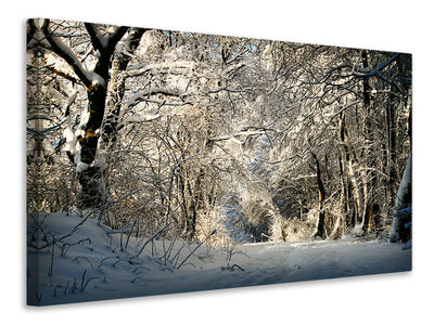 modern-4-piece-canvas-print-a-winter-dream