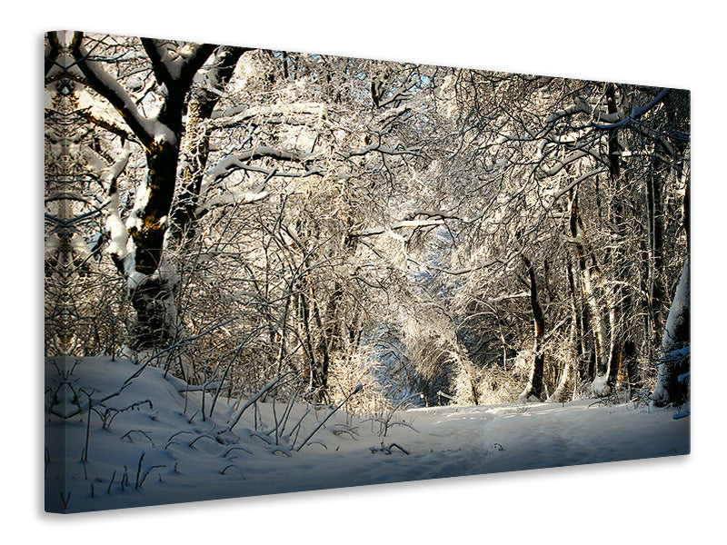 modern-3-piece-canvas-print-a-winter-dream