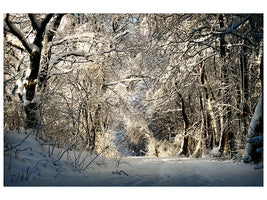 modern-4-piece-canvas-print-a-winter-dream