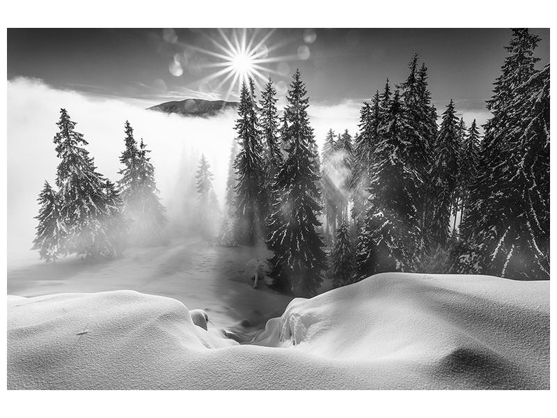 modern-4-piece-canvas-print-a-winter-tale