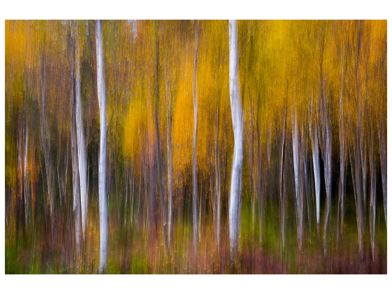 panoramic-3-piece-canvas-print-abstract-fall