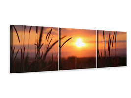 panoramic-canvas-print-adorable-sunset