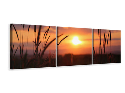 panoramic-canvas-print-adorable-sunset