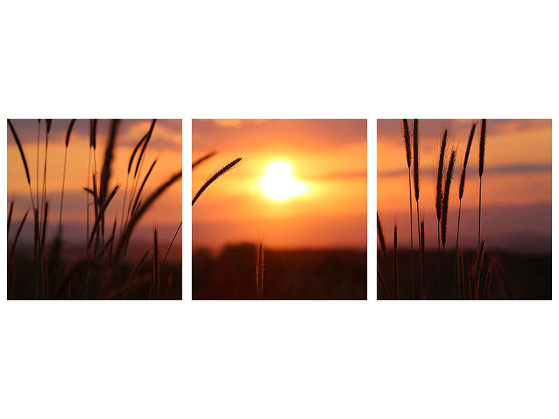 3-piece-canvas-print-adorable-sunset