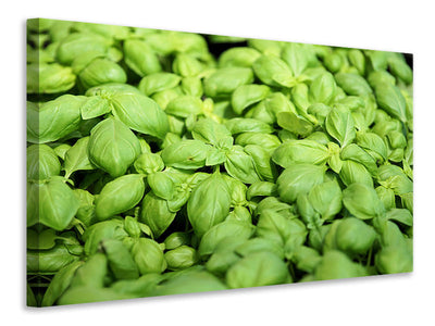 panoramic-3-piece-canvas-print-all-basil