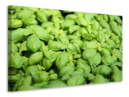 modern-4-piece-canvas-print-all-basil