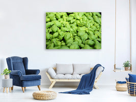 3-piece-canvas-print-all-basil