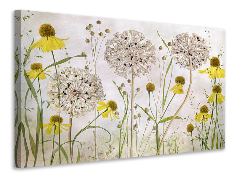 modern-4-piece-canvas-print-alliums-and-heleniums