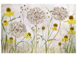 modern-4-piece-canvas-print-alliums-and-heleniums