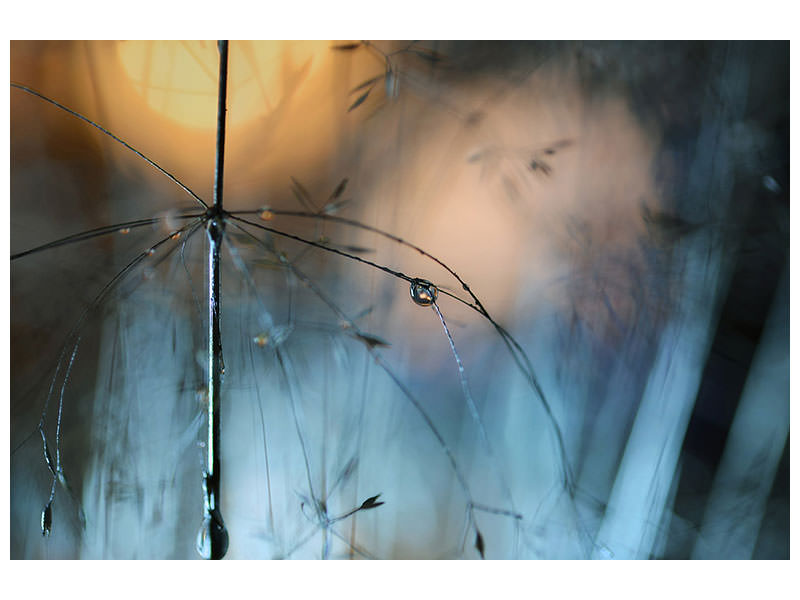 4-piece-canvas-print-almost-dark