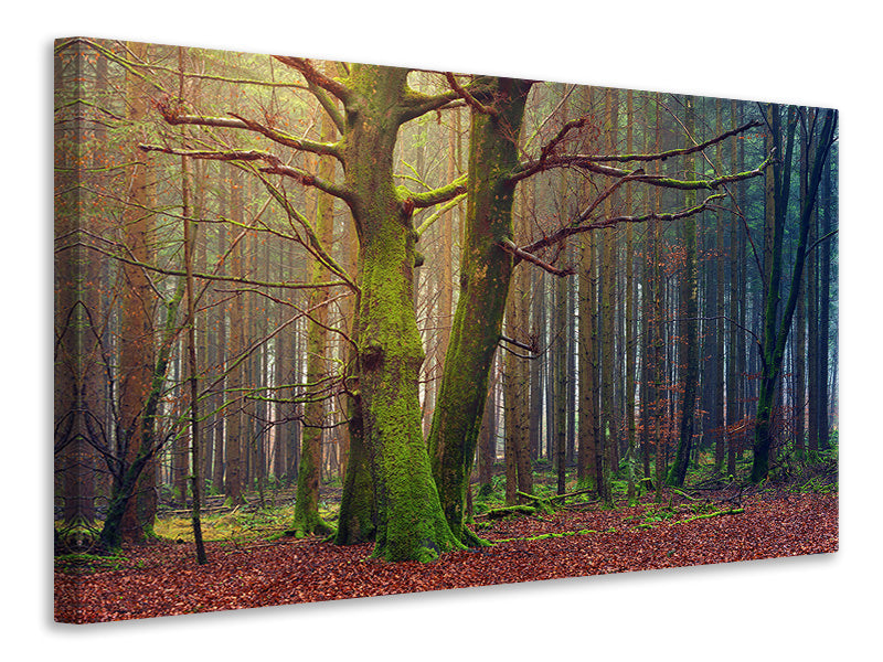 modern-3-piece-canvas-print-alone-in-the-woods