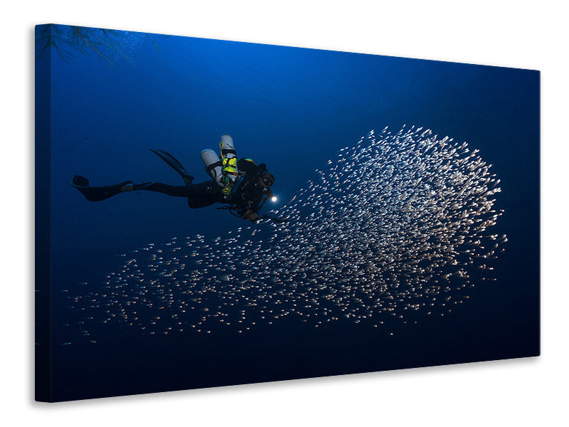 modern-4-piece-canvas-print-alvin-shoal