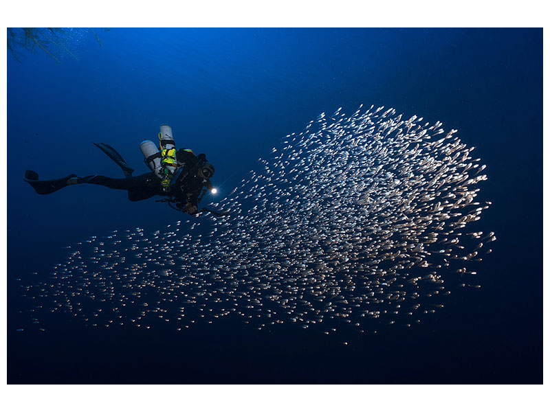 3-piece-canvas-print-alvin-shoal