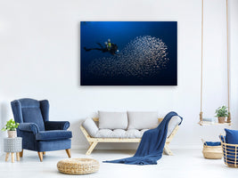 4-piece-canvas-print-alvin-shoal