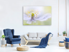 3-piece-canvas-print-anemone-beauty