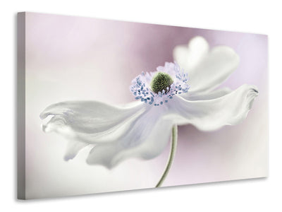 3-piece-canvas-print-anemone-breeze