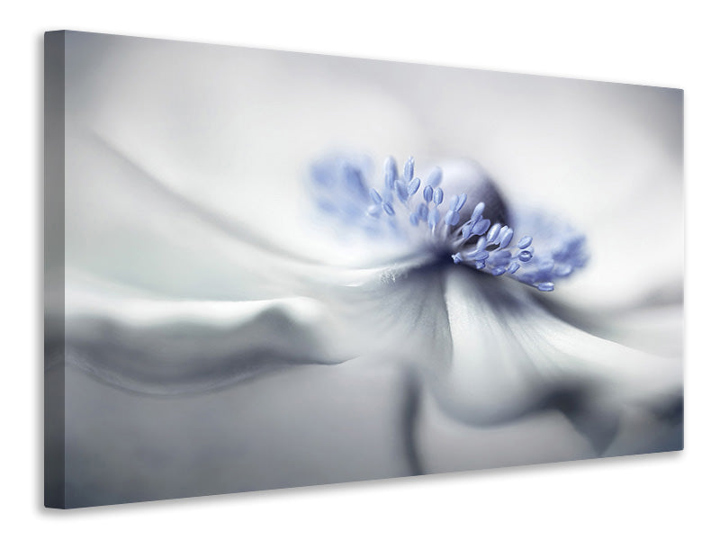 4-piece-canvas-print-anemone-spirit