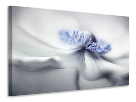 5-piece-canvas-print-anemone-spirit
