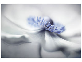 panoramic-3-piece-canvas-print-anemone-spirit
