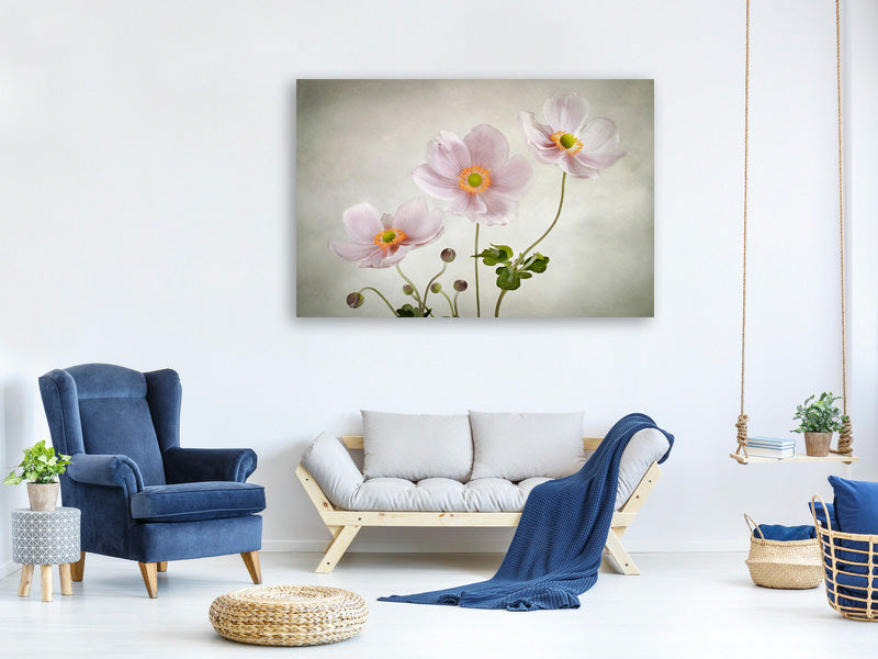 modern-4-piece-canvas-print-anemones-ii