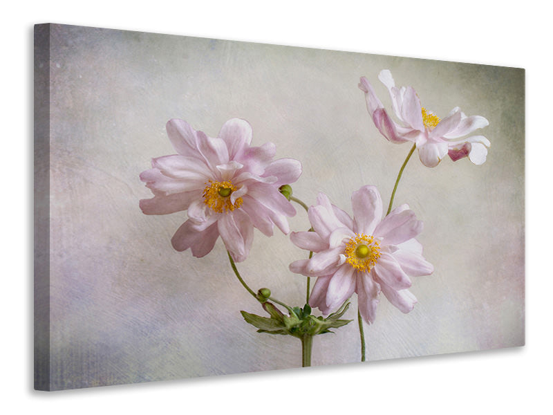 5-piece-canvas-print-anemones
