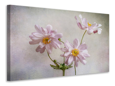 5-piece-canvas-print-anemones