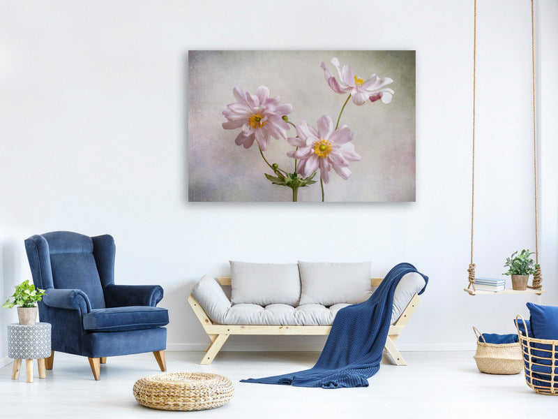 3-piece-canvas-print-anemones