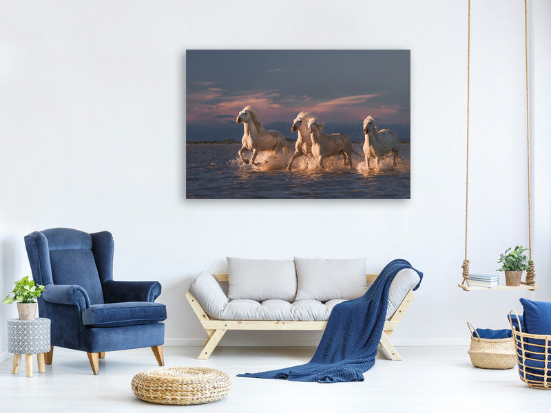 3-piece-canvas-print-angels-of-camargue