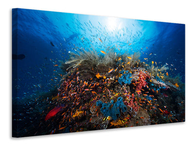 panoramic-canvas-print-apnea
