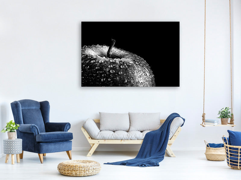 panoramic-canvas-print-appel