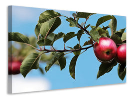 modern-4-piece-canvas-print-apple-on-the-tree