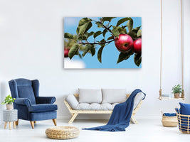 modern-4-piece-canvas-print-apple-on-the-tree