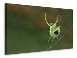 panoramic-canvas-print-are-you-gonna-dance-with-me