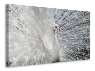 4-piece-canvas-print-as-white-as-snow