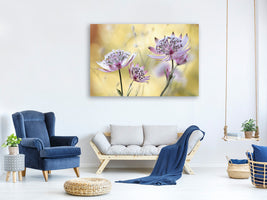 4-piece-canvas-print-astrantia-major
