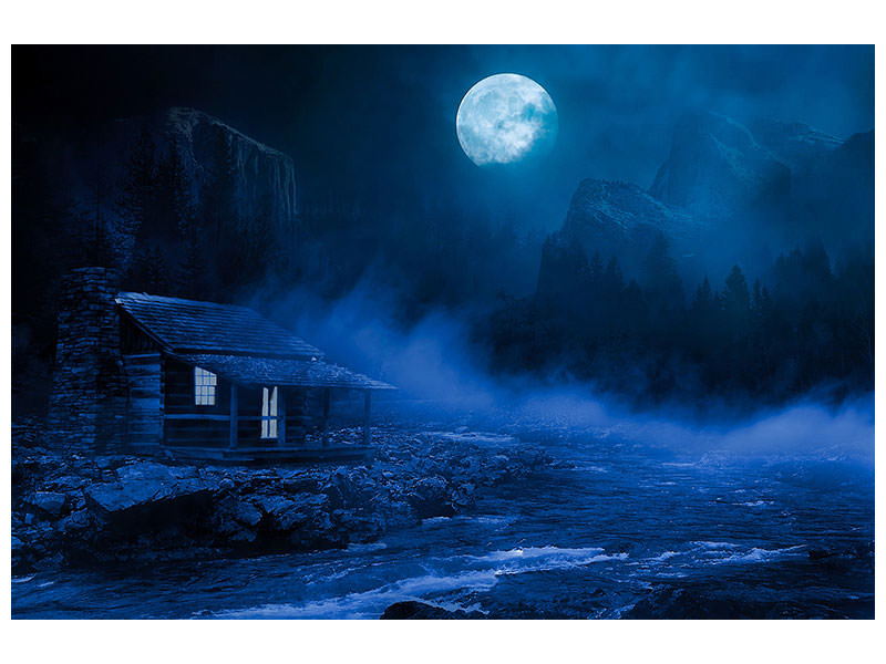 panoramic-canvas-print-at-night-in-the-woods