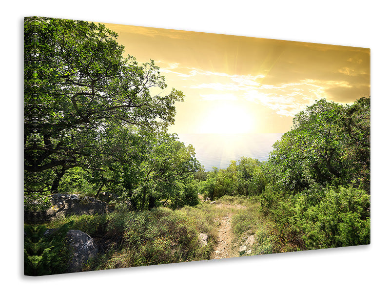 4-piece-canvas-print-at-the-end-of-the-forest