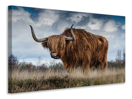3-piece-canvas-print-attention-bull