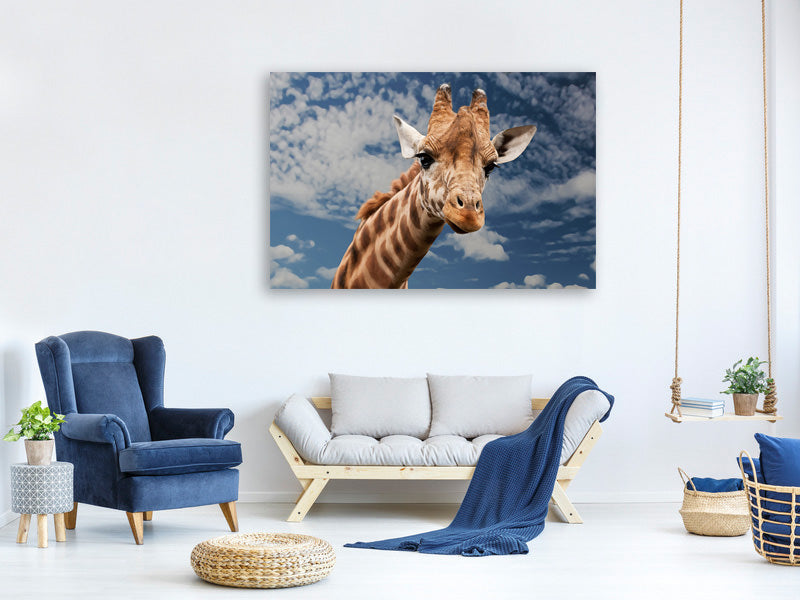 3-piece-canvas-print-attention-giraffe