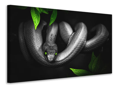 3-piece-canvas-print-attention-snake